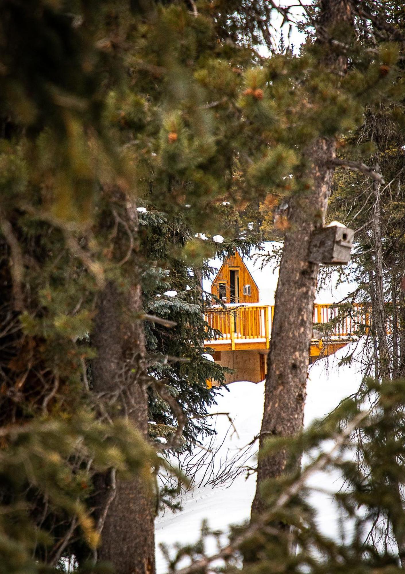 Mount Engadine Lodge Kananaskis Eksteriør billede